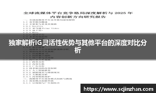 独家解析IG灵活性优势与其他平台的深度对比分析