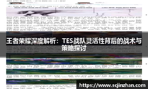 王者荣耀深度解析：TES战队灵活性背后的战术与策略探讨