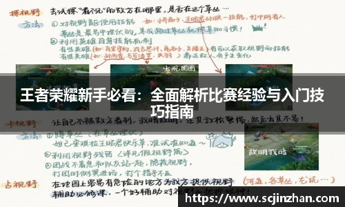 王者荣耀新手必看：全面解析比赛经验与入门技巧指南