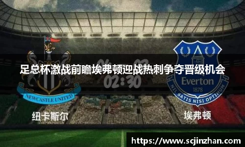 足总杯激战前瞻埃弗顿迎战热刺争夺晋级机会